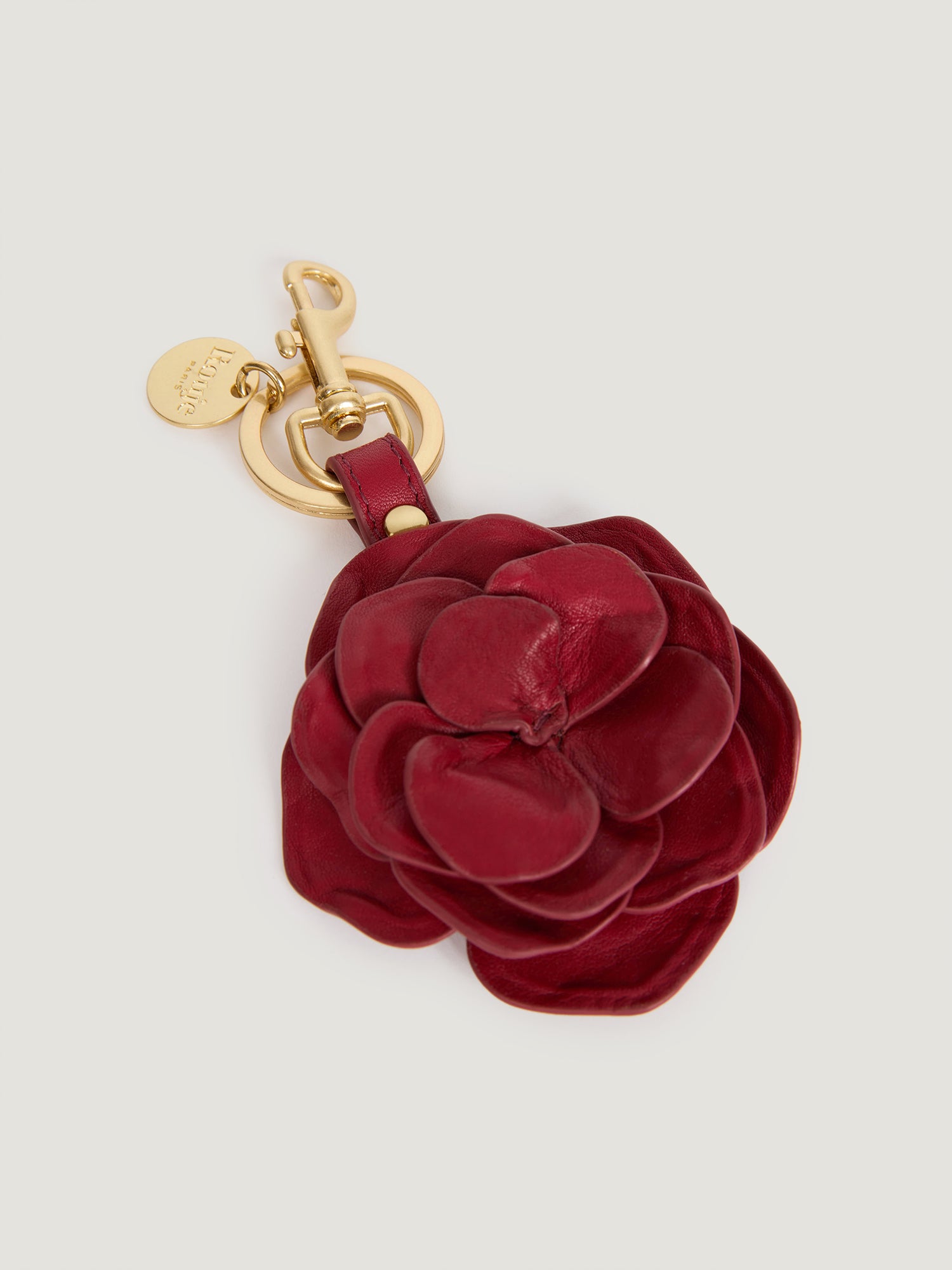 GRIGRI key ring GRIGRI key ring