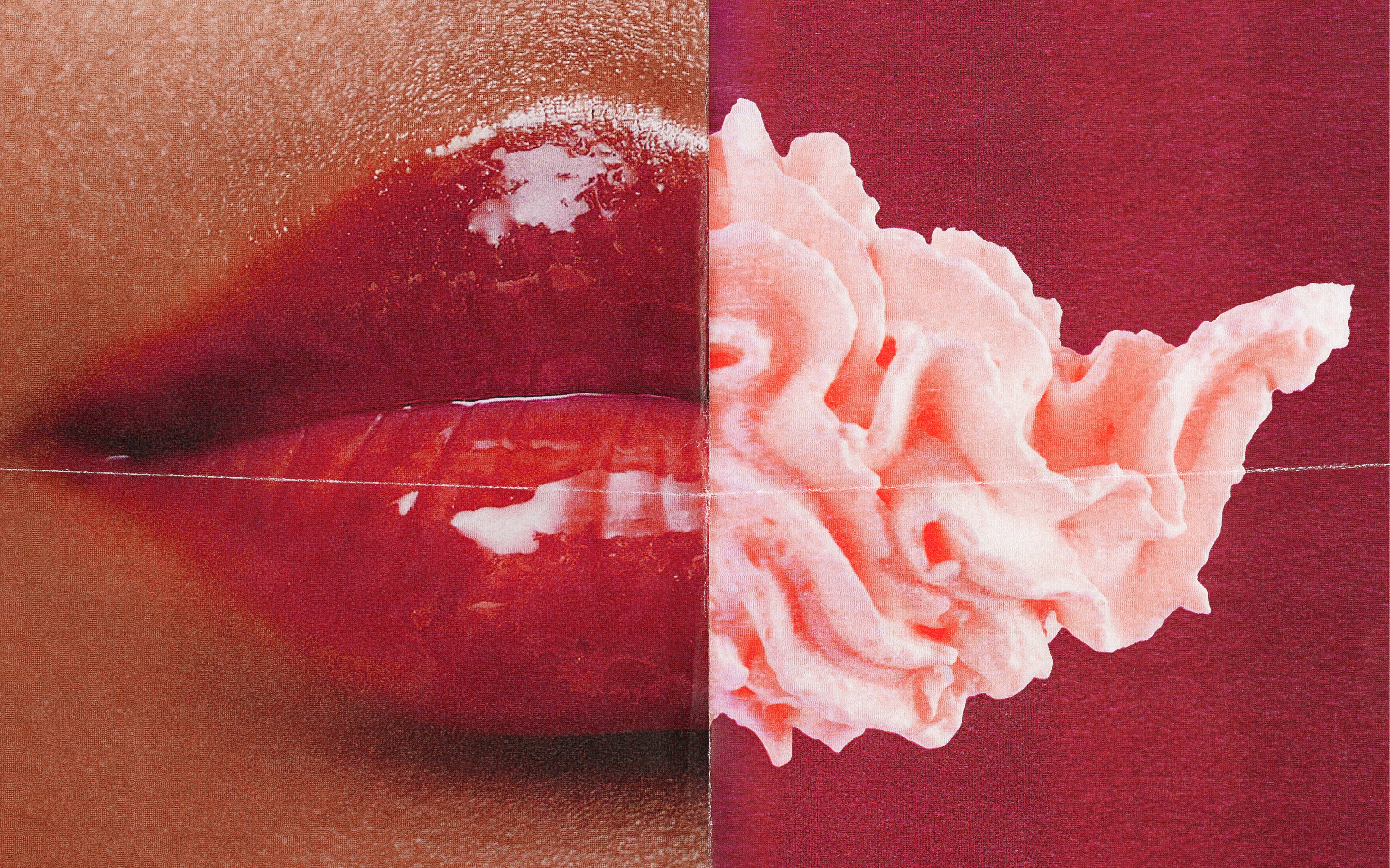 THE TINTED LIP OIL THE TINTED LIP OIL