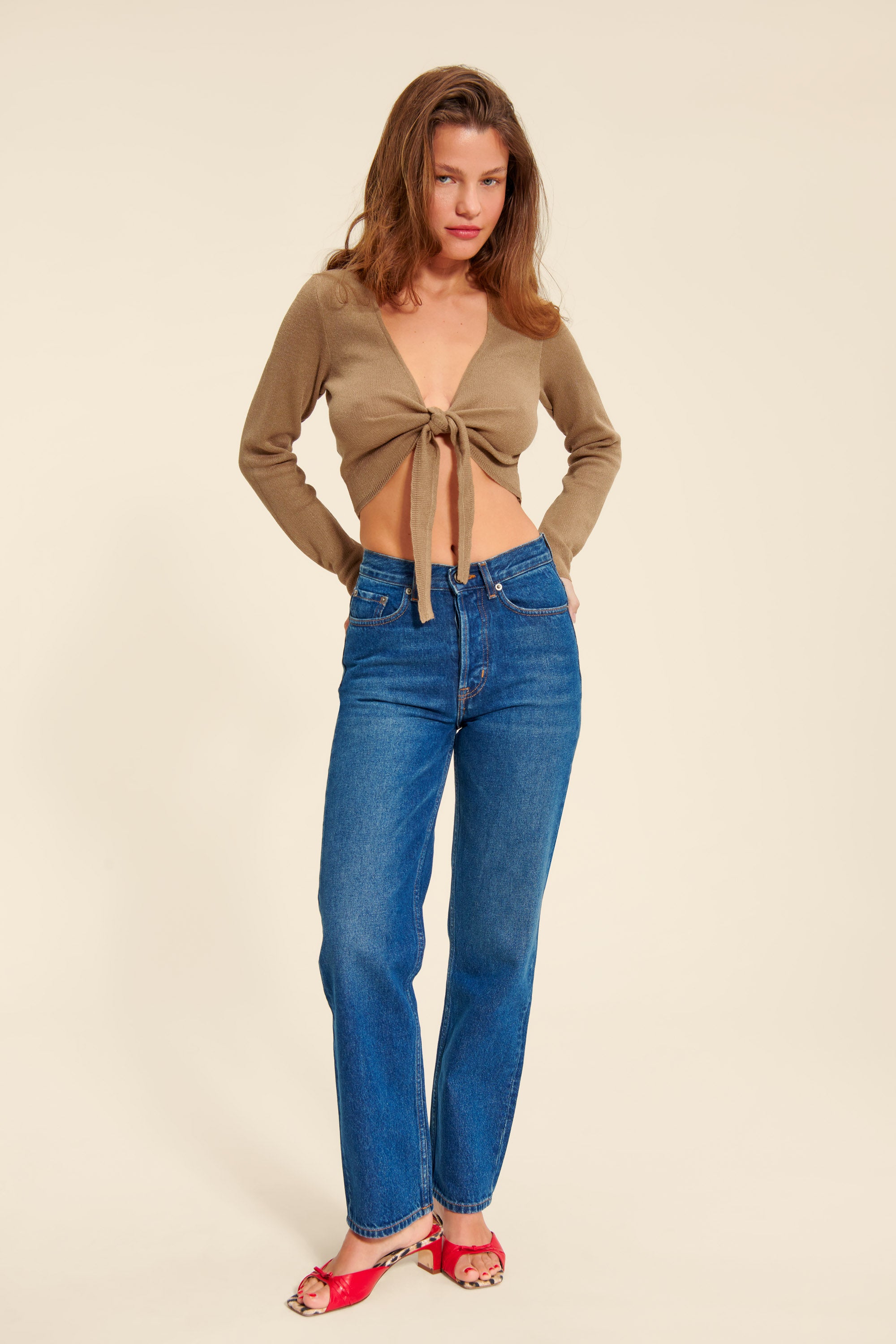 ARAMIS top