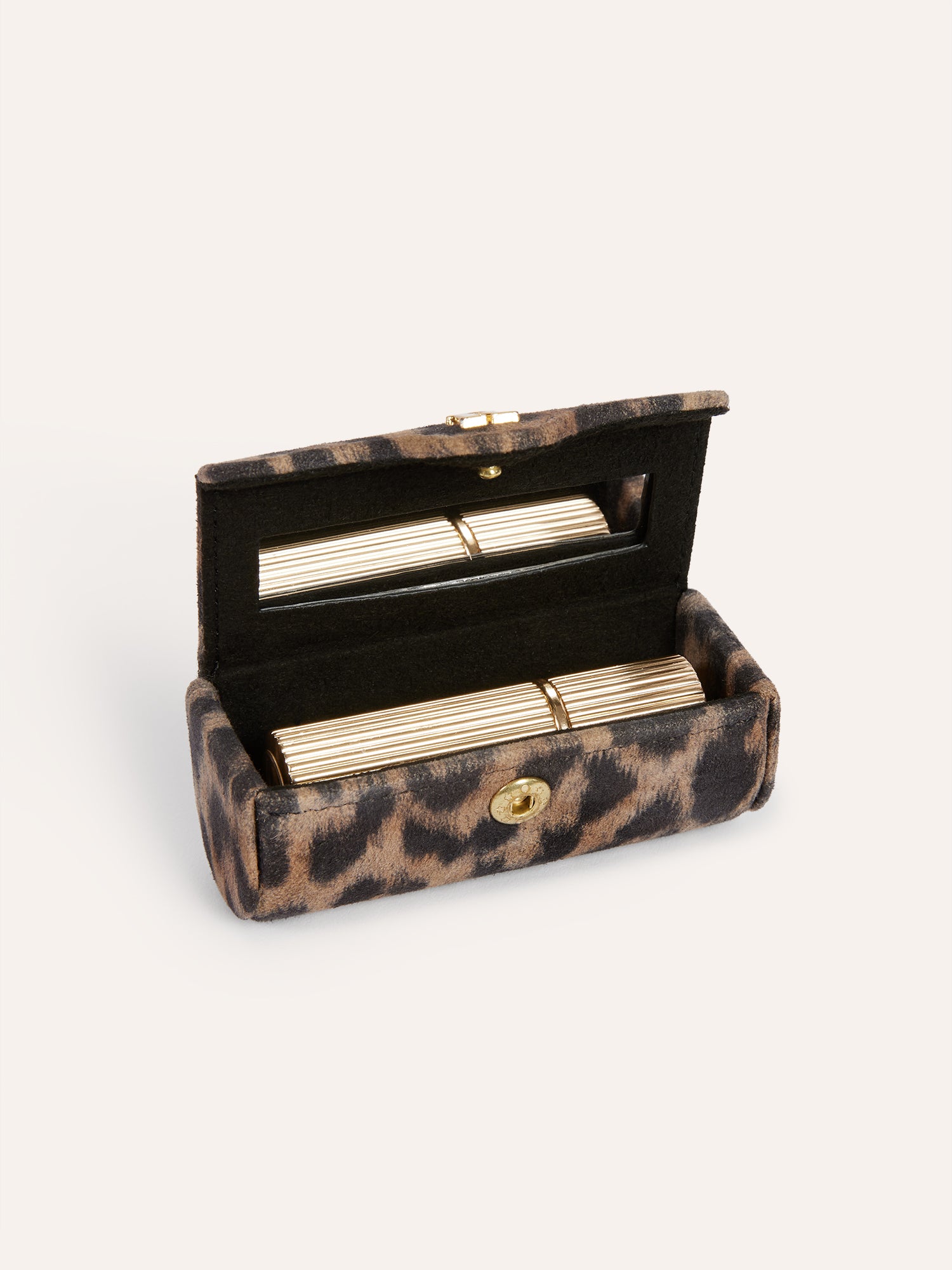 Case LIPS