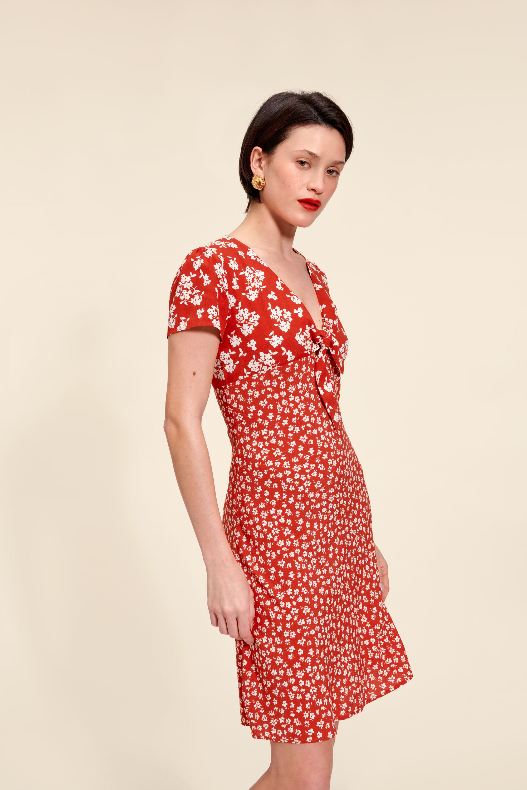 BARNEY dress