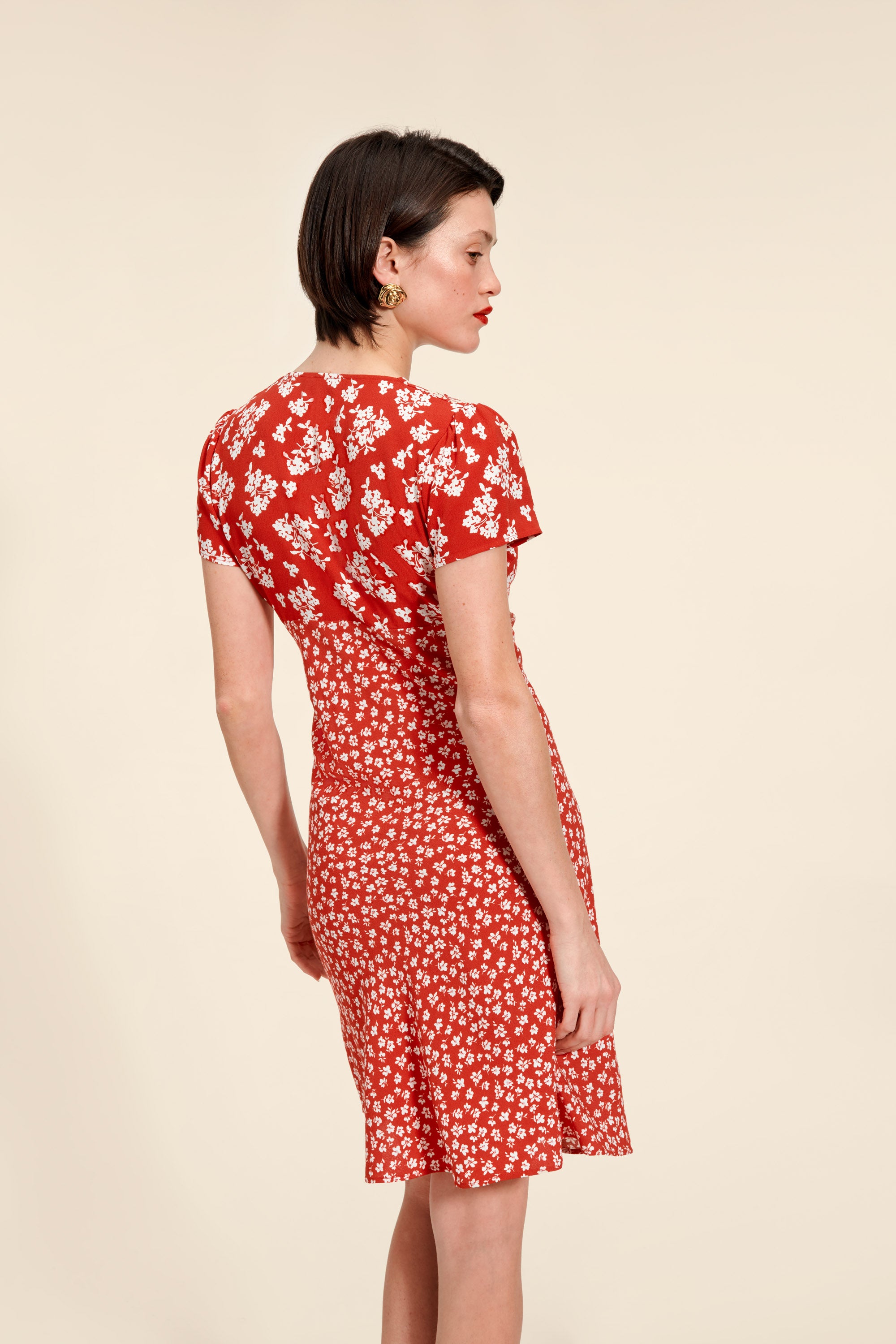 BARNEY dress